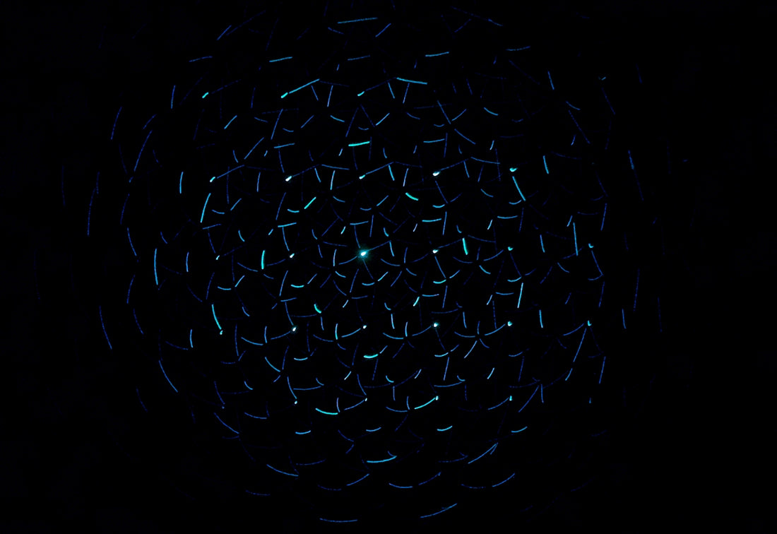 light decorations in dark area